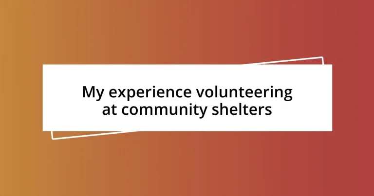 My experience volunteering at community shelters