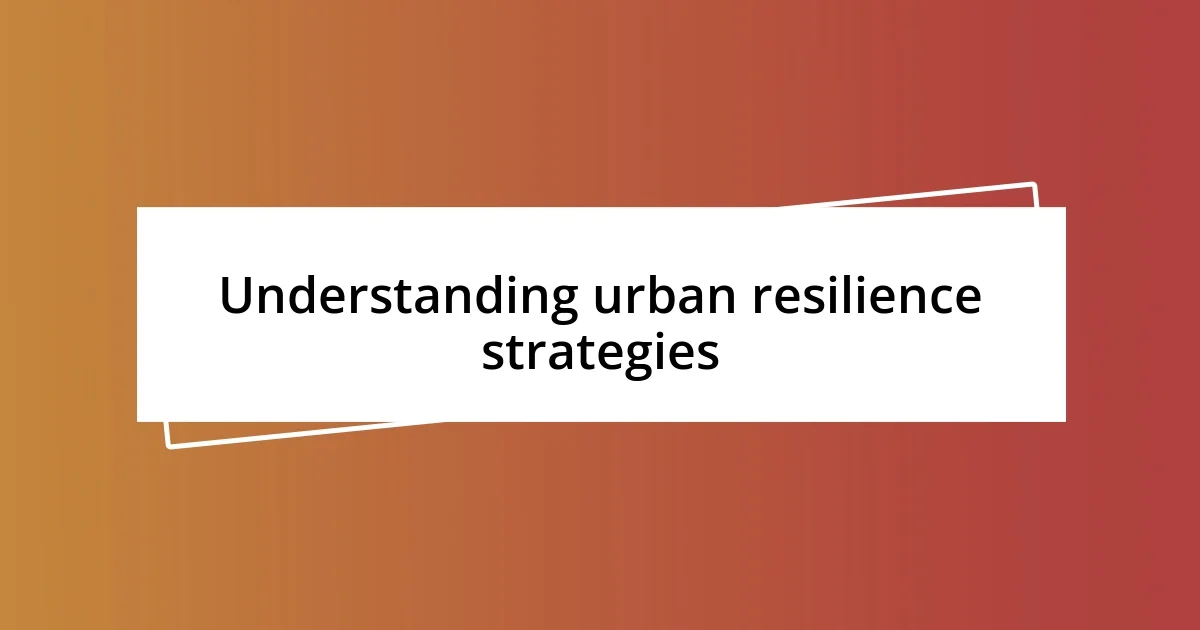 Understanding urban resilience strategies