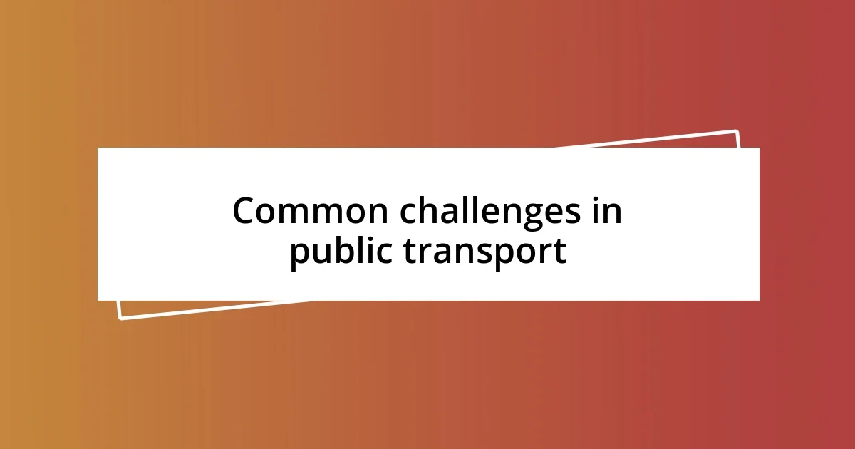 Common challenges in public transport