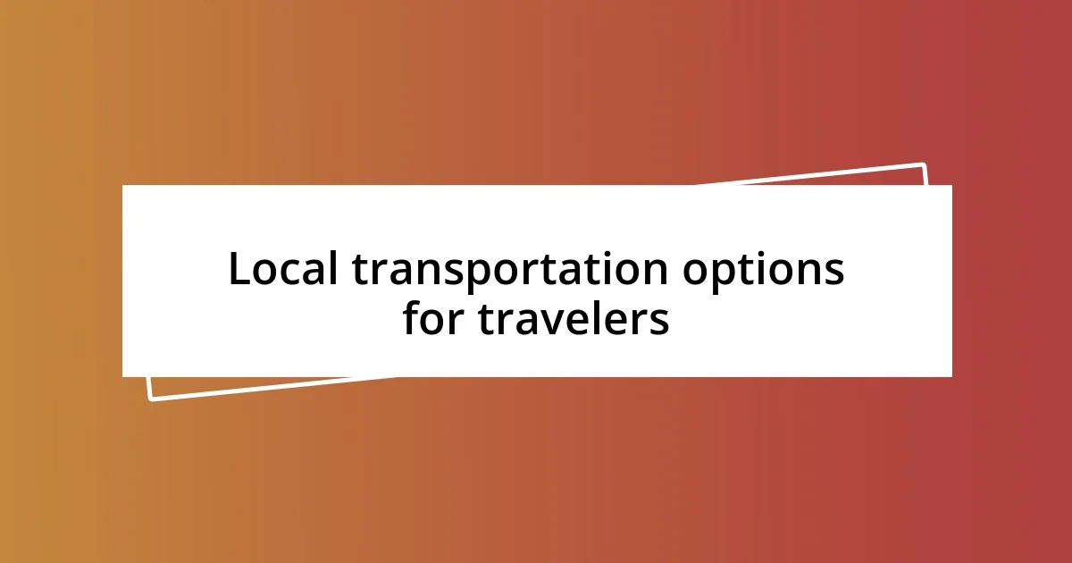 Local transportation options for travelers